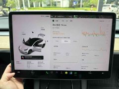 Tesla Model 3 standard range rear drive upgraded version 3D6 - фото 11