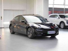 Tesla Model 3 standard range rear drive upgraded version 3D6 - фото 3