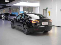 Tesla Model 3 standard range rear drive upgraded version 3D6 - фото 5