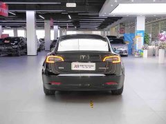 Tesla Model 3 standard range rear drive upgraded version 3D6 - фото 6