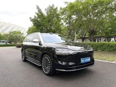 AITO Wenjie M9 pure electric Max version 100kWh 6-seater version - фото 3