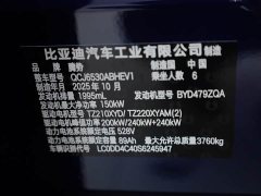 Denza N9 Zunyue - фото 16