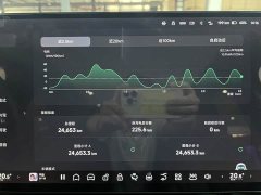Xpeng P7 2024 Long Battery Life Max - фото 10