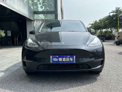 Tesla Model Y 2021 long-range all-wheel drive version 3D7 - фото 1