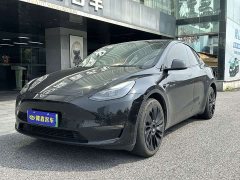 Tesla Model Y 2021 long-range all-wheel drive version 3D7 - фото 2