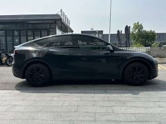 Tesla Model Y 2021 long-range all-wheel drive version 3D7 - фото 3