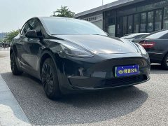 Tesla Model Y 2021 long-range all-wheel drive version 3D7 - фото 4