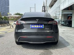 Tesla Model Y 2021 long-range all-wheel drive version 3D7 - фото 5