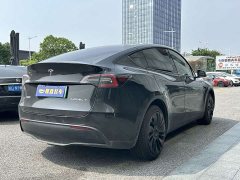 Tesla Model Y 2021 long-range all-wheel drive version 3D7 - фото 7