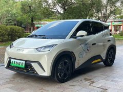 BYD Seagull 2023 Free Edition - фото 1