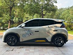 BYD Seagull 2023 Free Edition - фото 4