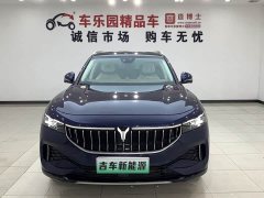 Voyah Lantu FREE 2021 four-wheel drive standard extended range exclusive luxury package - фото 2