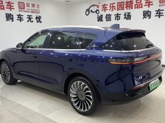 Voyah Lantu FREE 2021 four-wheel drive standard extended range exclusive luxury package - фото 7