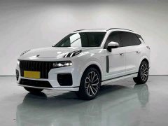 Lynk & Co 09 EM-P 2021 2.0T PHEV Halo seven seats - фото 1