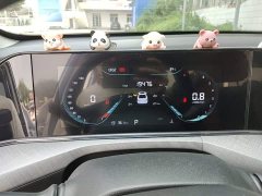 Ford EADO 2024 PLUS Blue Whale NE 1.4T GDI DCT High Energy Edition - фото 12