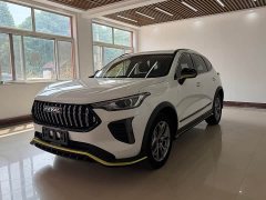 Haval Red Rabbit Exclusive Edition 1.5T Brass Rabbit - фото 1