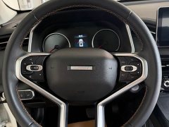 Haval Red Rabbit Exclusive Edition 1.5T Brass Rabbit - фото 17