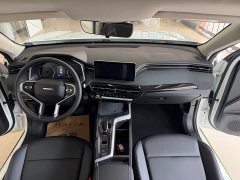 Haval Red Rabbit Exclusive Edition 1.5T Brass Rabbit - фото 18