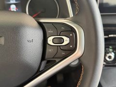 Haval Red Rabbit Exclusive Edition 1.5T Brass Rabbit - фото 20