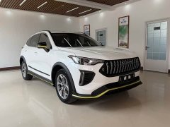 Haval Red Rabbit Exclusive Edition 1.5T Brass Rabbit - фото 3