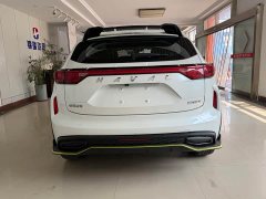 Haval Red Rabbit Exclusive Edition 1.5T Brass Rabbit - фото 5