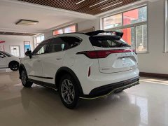 Haval Red Rabbit Exclusive Edition 1.5T Brass Rabbit - фото 6