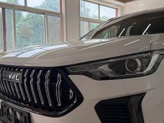 Haval Red Rabbit Exclusive Edition 1.5T Brass Rabbit - фото 7