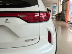Haval Red Rabbit Exclusive Edition 1.5T Brass Rabbit - фото 8