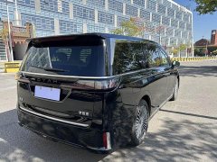 Voyah Lantu Dreamer 2025 PHEV four-wheel drive premium Kunpeng version - фото 7