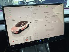 Tesla Model Y rear-wheel drive version - фото 17