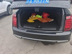 Hongqi H9 2.0T Zhilian Flagship Edition - фото 4