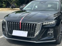 Hongqi H5 2.0T Automatic Zhilianqichang Edition - фото 11