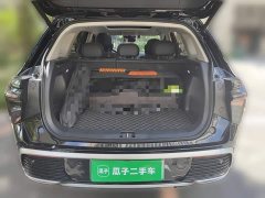 Hongqi HS3 PHEV 125km Jinwei PLUS 2 million commemorative edition - фото 15
