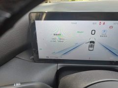 Hongqi HS3 PHEV 125km Jinwei PLUS 2 million commemorative edition - фото 8