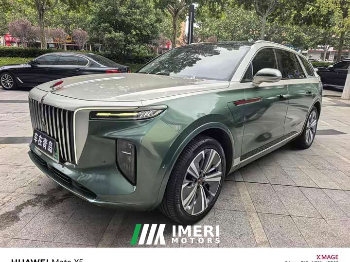 Hongqi E-HS9 460km flagship version six seats - автомобиль из Китая