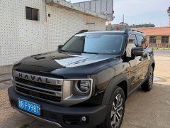 Haval Big Dog 2024 1.5T DCT Border Collie Edition - фото 4