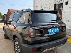 Haval Big Dog 2024 1.5T DCT Border Collie Edition - фото 6