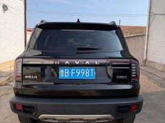 Haval Big Dog 2024 1.5T DCT Border Collie Edition - фото 8