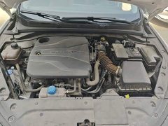 Ford EADO Enjoy Edition PLUS Blue Whale NE 1.4T GDI DCT Premium Edition - фото 16