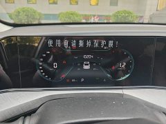 Ford EADO Enjoy Edition PLUS Blue Whale NE 1.4T GDI DCT Premium Edition - фото 8