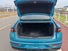 Lexus Xingrui 2.0TD luxury - фото 15