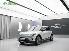 smart Elf #1 2024 Premium Edition - фото 1
