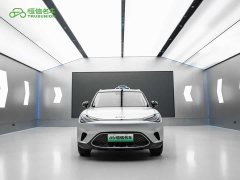 smart Elf #1 2024 Premium Edition - фото 2