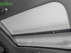 smart Elf #1 2024 Premium Edition - фото 20