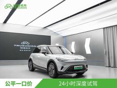 smart Elf #1 2024 Premium Edition - фото 3