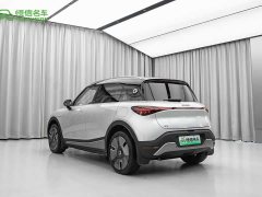 smart Elf #1 2024 Premium Edition - фото 6