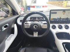 smart Elf #3 Pulse four-wheel drive version - фото 11
