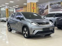 BYD Dolphin 2023 420km Free Edition - фото 3