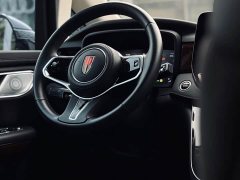 Hongqi HQ9 PHEV 2.0T four-wheel drive luxury version - фото 6
