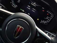 Hongqi HQ9 PHEV 2.0T four-wheel drive luxury version - фото 7